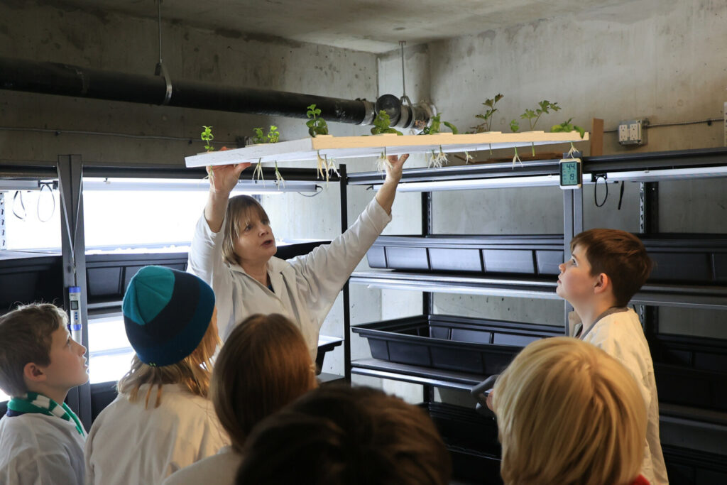 gns students surrounding plant tray
