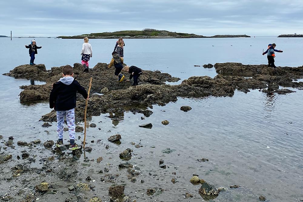 Kids exploring the beach