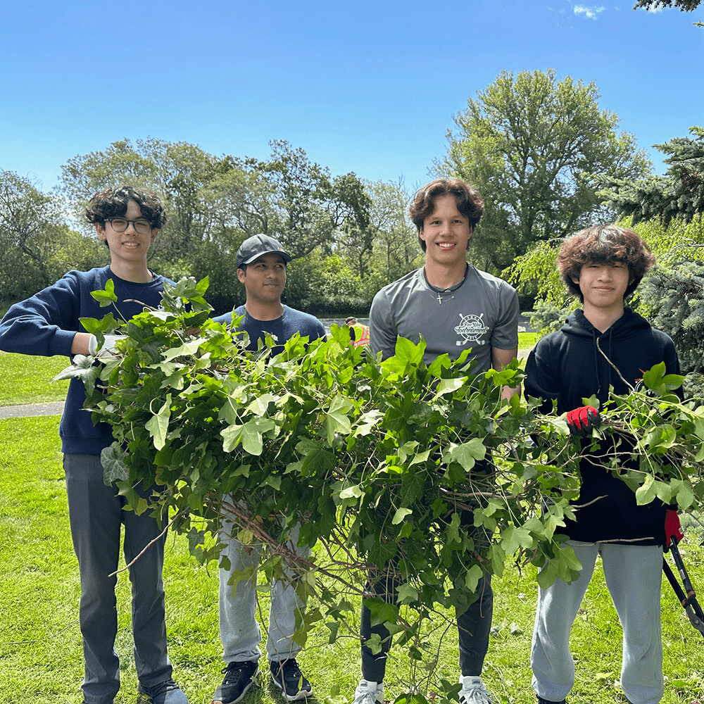 students pulling invasive species