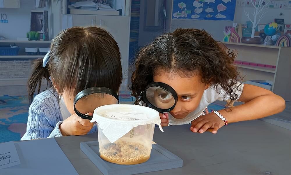 JK students with magnifying glasses