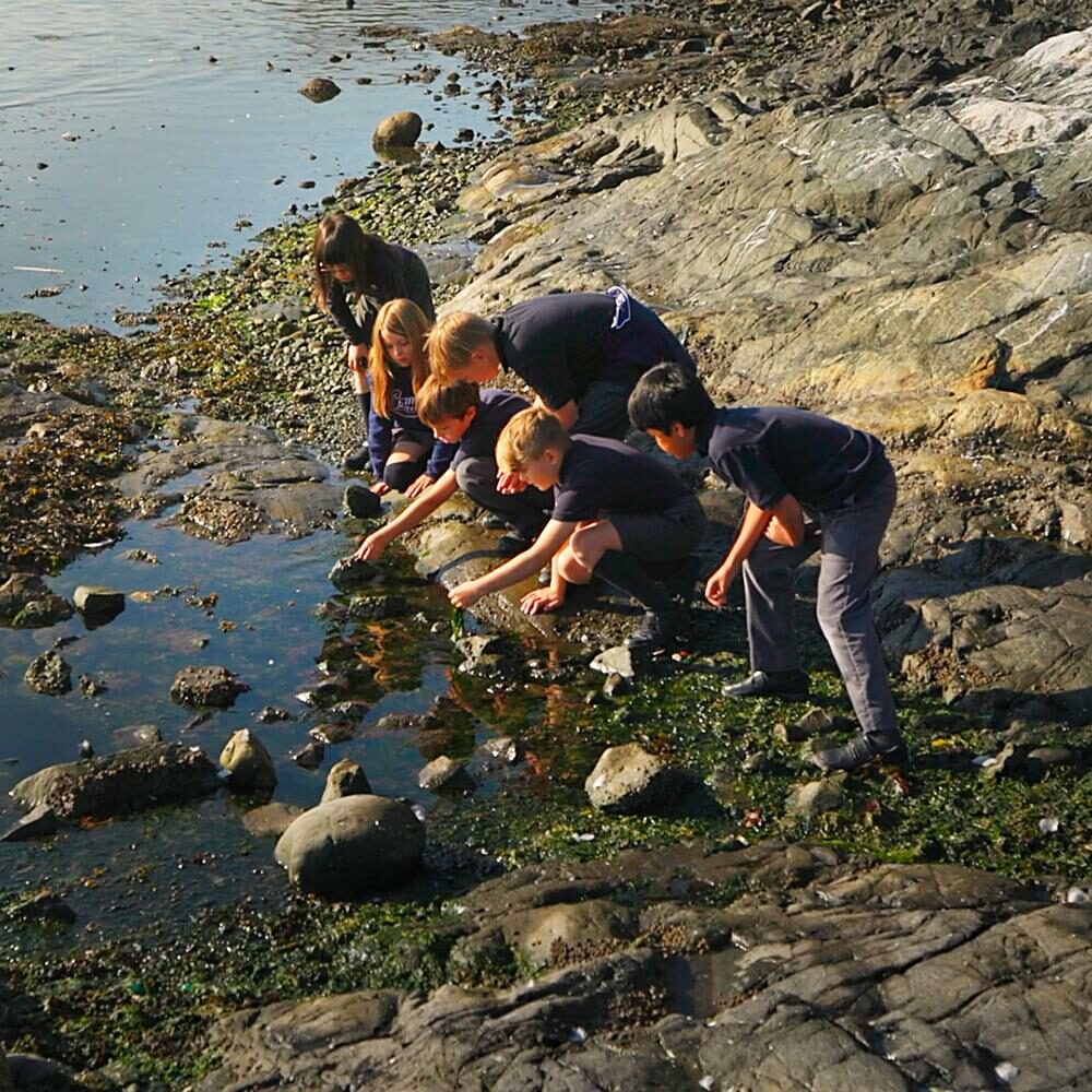 Grade 4 students looking in a tide pool