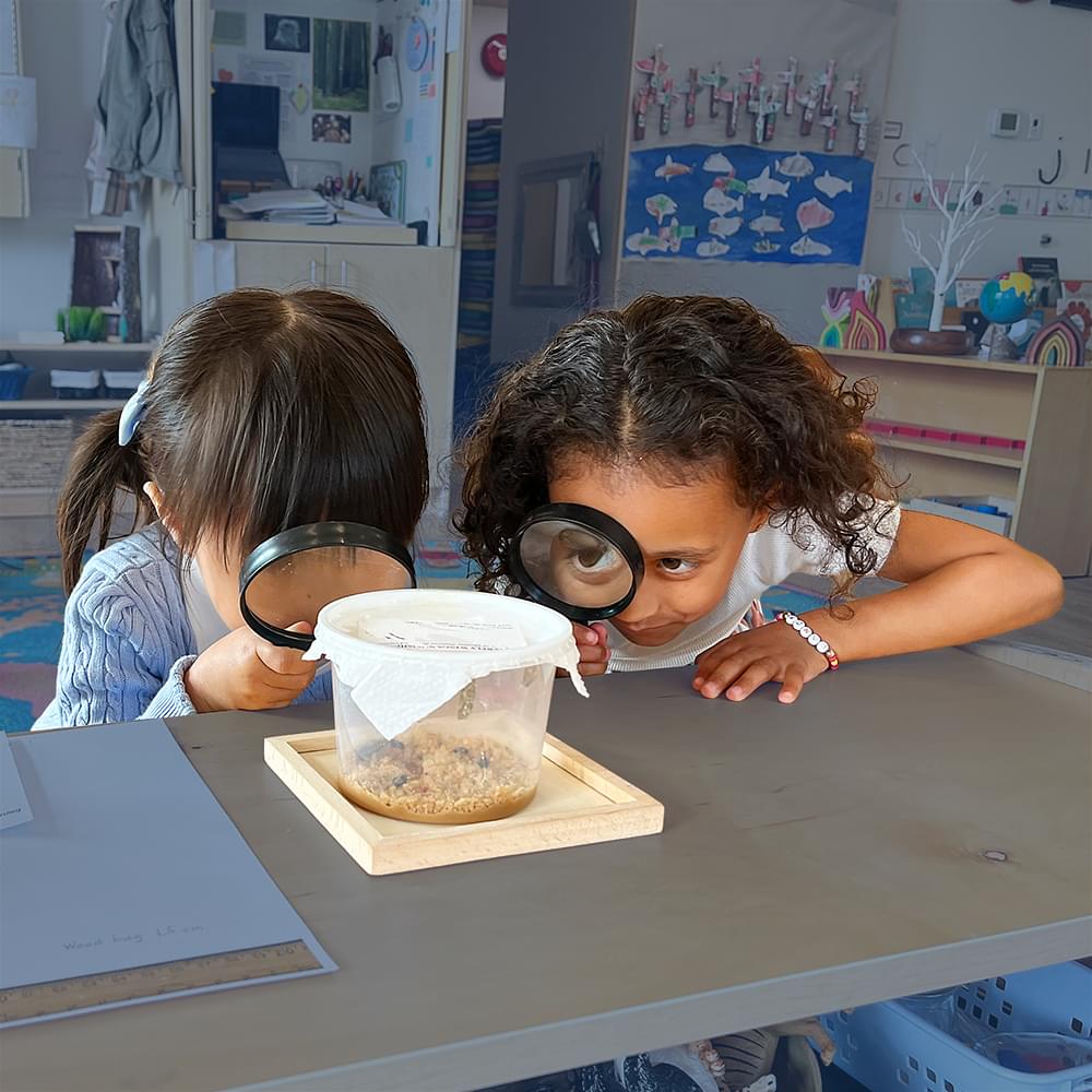 two junior kindergarten students using a magnifying glass