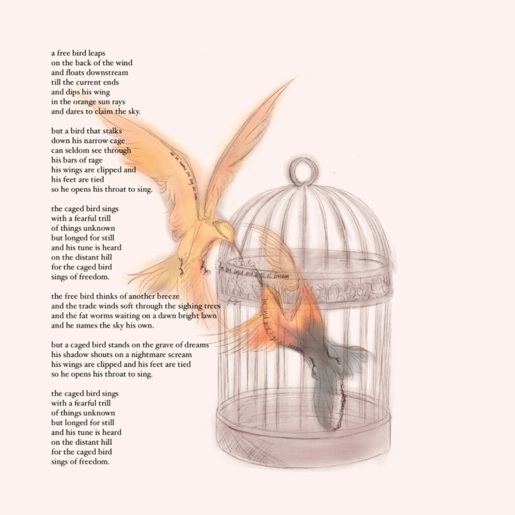 Creative drawing interpretation of maya angelou's caged bird poem